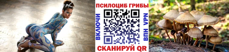 Галлюциногенные грибы Psilocybine cubensis  Мамоново 